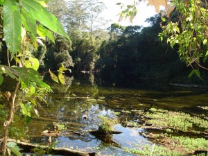  Participe do Trekking no Parque das Neblinas com a Wunderwelt A