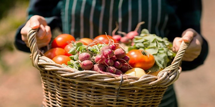  Foodsharing – Nova forma de Compartilhar na Alemanha